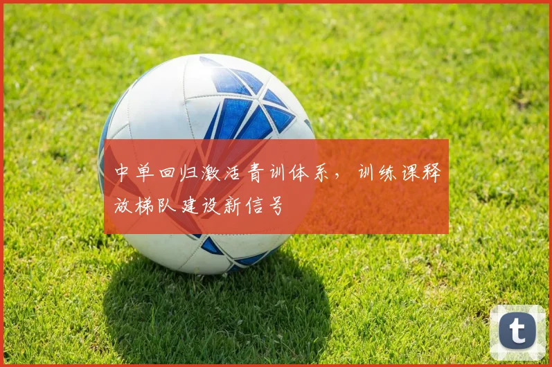 中单回归激活青训体系,训练课释放梯队建设新信号 - 搜狐体育推荐