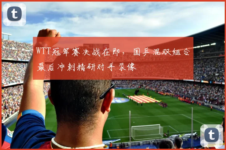 WTT冠军赛决战在即,国乒混双组合最后冲刺精研对手录像 - 搜狐体育推荐