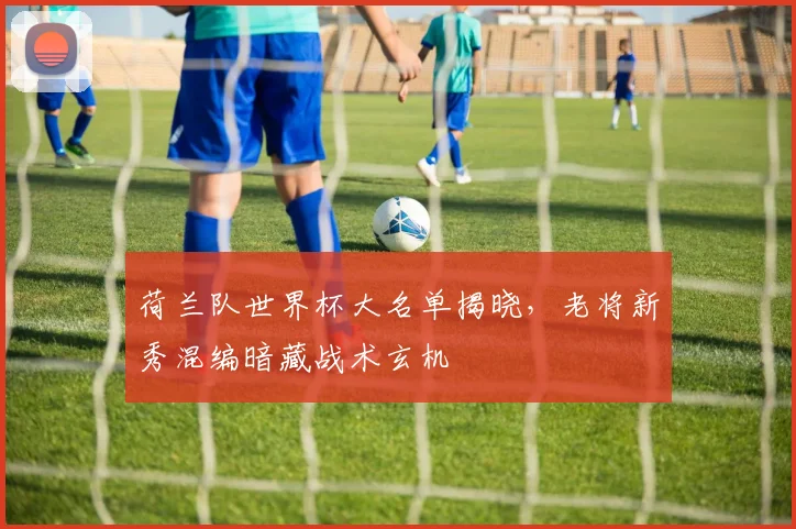 荷兰队世界杯大名单揭晓，老将新秀混编暗藏战术玄机 - 搜狐体育推荐