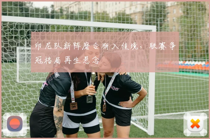 印尼队新阵磨合渐入佳境，联赛争冠格局再生悬念 - 搜狐体育图集